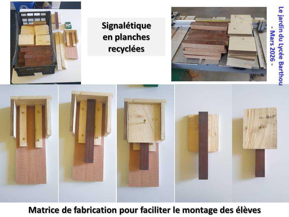 Un petit tour au jardin du lycée : de la poésie et du recyclage ...