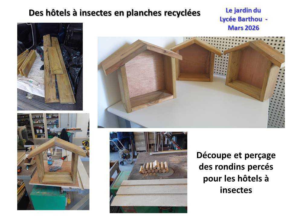 Un petit tour au jardin du lycée : de la poésie et du recyclage ...