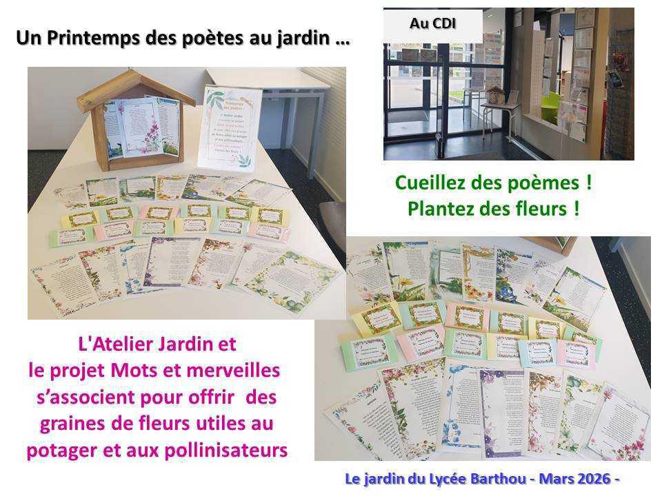 Un petit tour au jardin du lycée : de la poésie et du recyclage ...