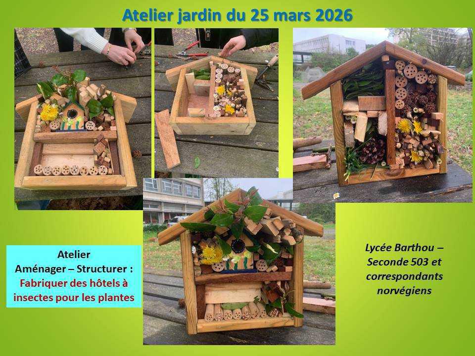 Retour en images de l'Atelier jardin du 25 mars 2026 Retour en images de l'Atelier jardin du 25 mars 2026