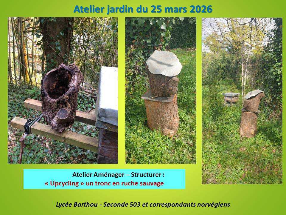 Retour en images de l'Atelier jardin du 25 mars 2026 Retour en images de l'Atelier jardin du 25 mars 2026
