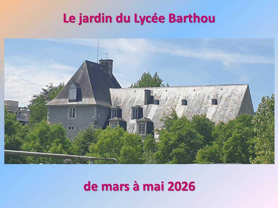 Le jardin potager du lycée de mars à mai 2026 Le jardin potager du lycée de mars à mai 2026