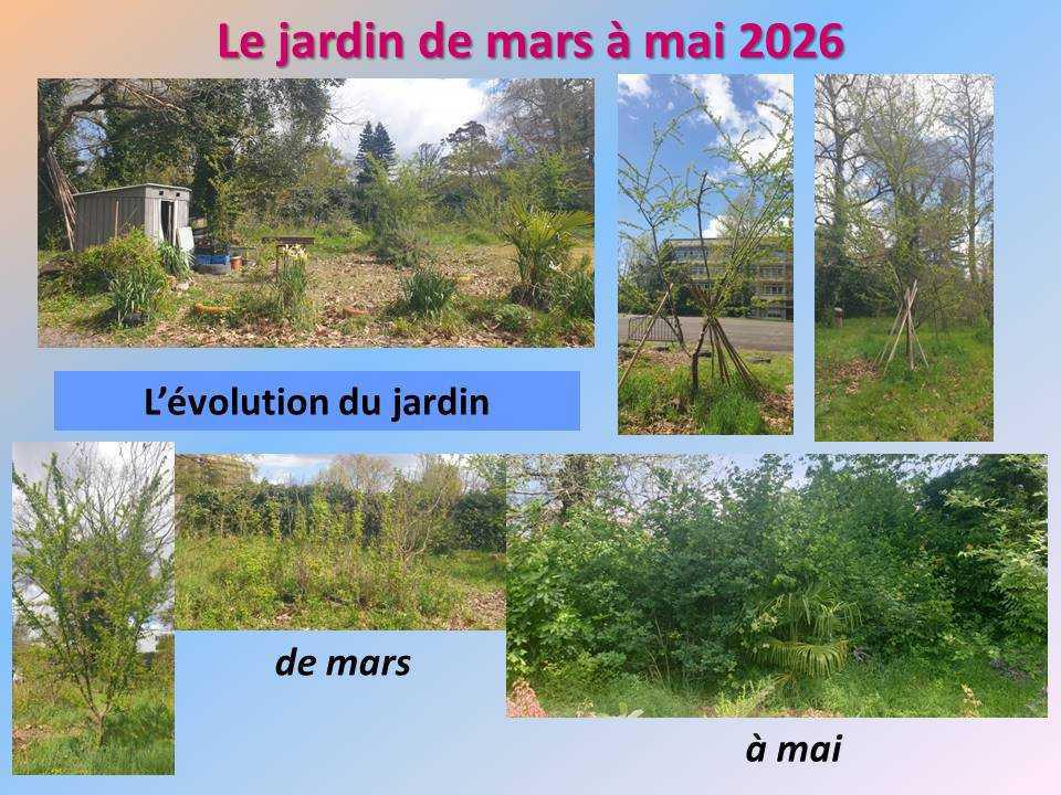Le jardin potager du lycée de mars à mai 2026 Le jardin potager du lycée de mars à mai 2026