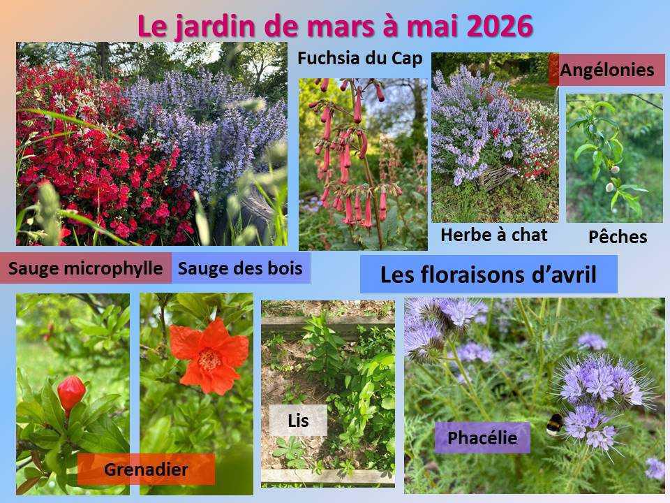 Le jardin potager du lycée de mars à mai 2026 Le jardin potager du lycée de mars à mai 2026