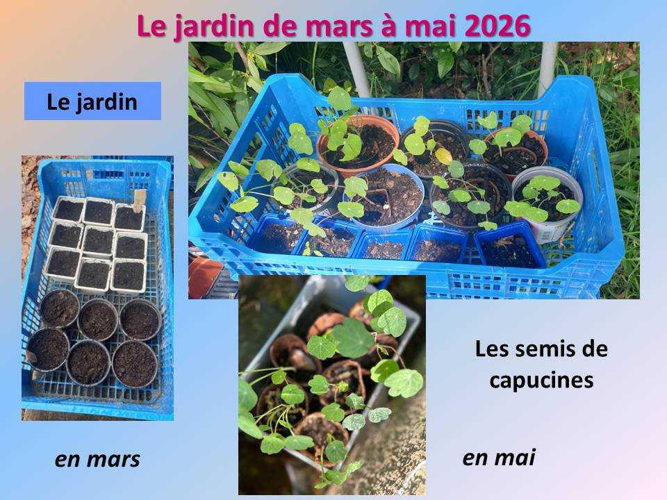 Le jardin potager du lycée de mars à mai 2026