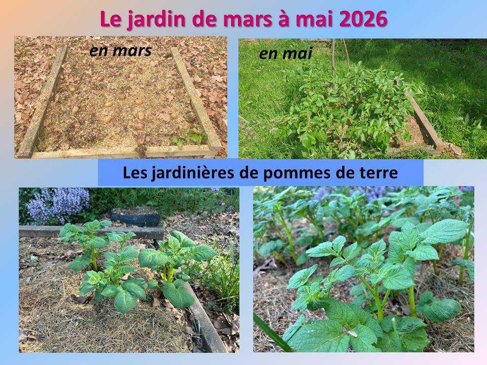 Le jardin potager du lycée de mars à mai 2026