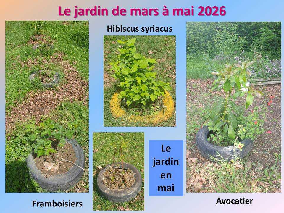 Le jardin potager du lycée de mars à mai 2026