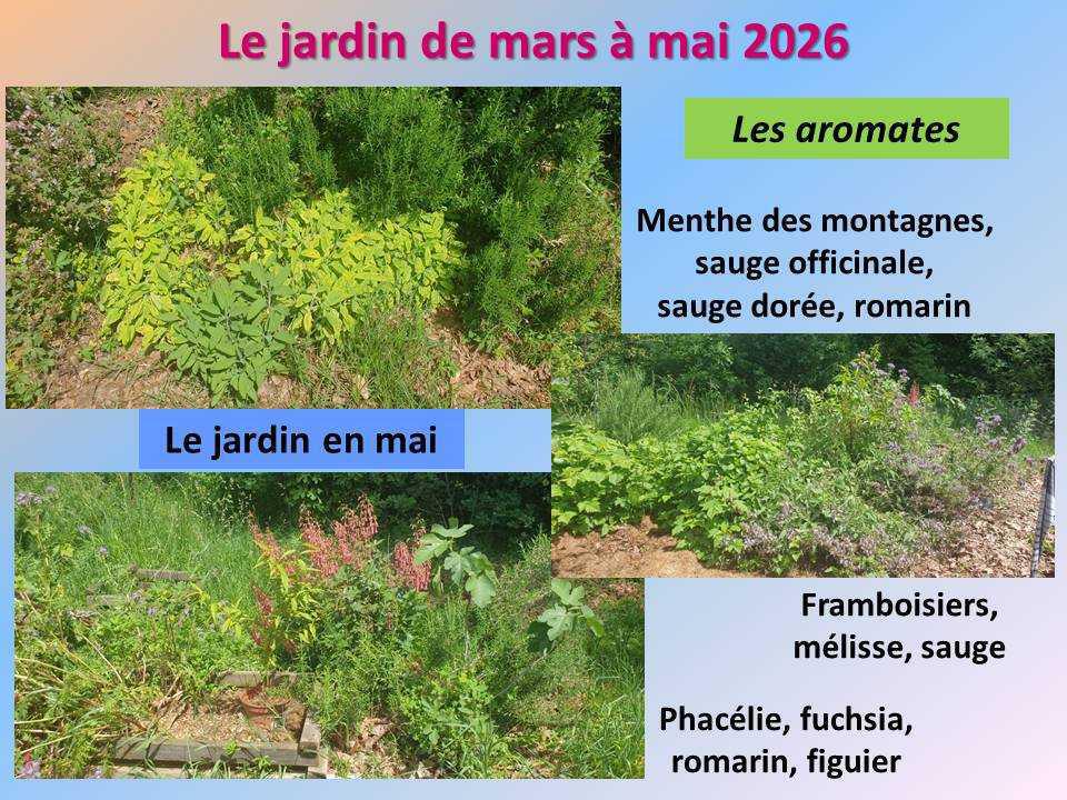 Le jardin potager du lycée de mars à mai 2026 Le jardin potager du lycée de mars à mai 2026