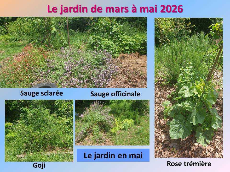 Le jardin potager du lycée de mars à mai 2026