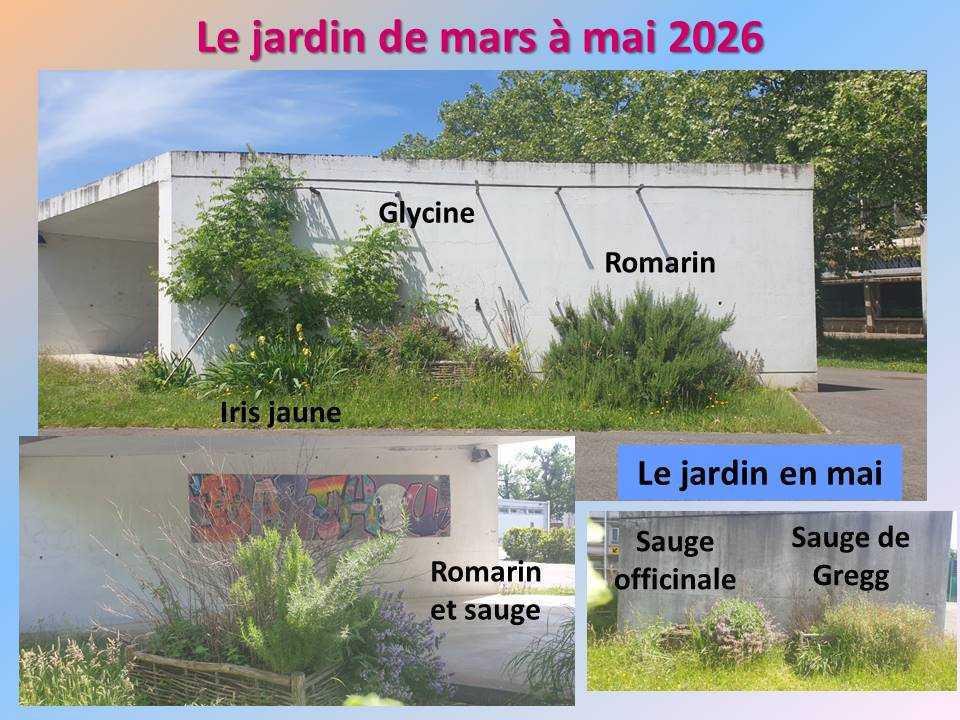 Le jardin potager du lycée de mars à mai 2026 Le jardin potager du lycée de mars à mai 2026