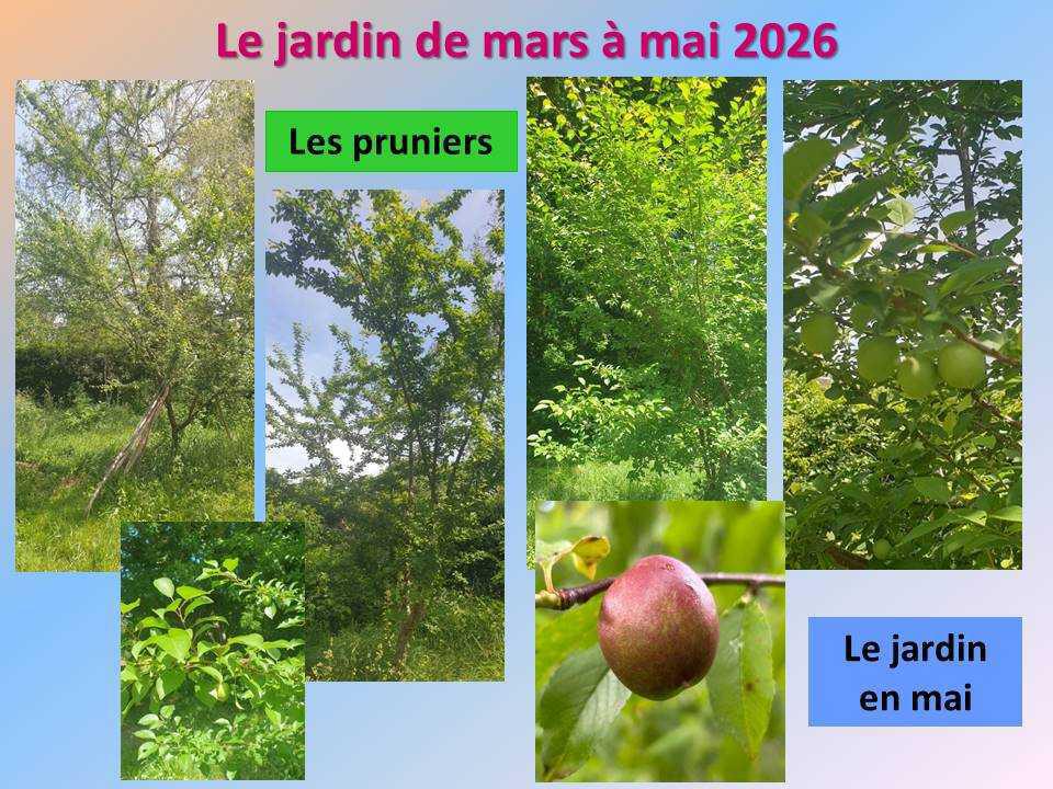 Le jardin potager du lycée de mars à mai 2026 Le jardin potager du lycée de mars à mai 2026
