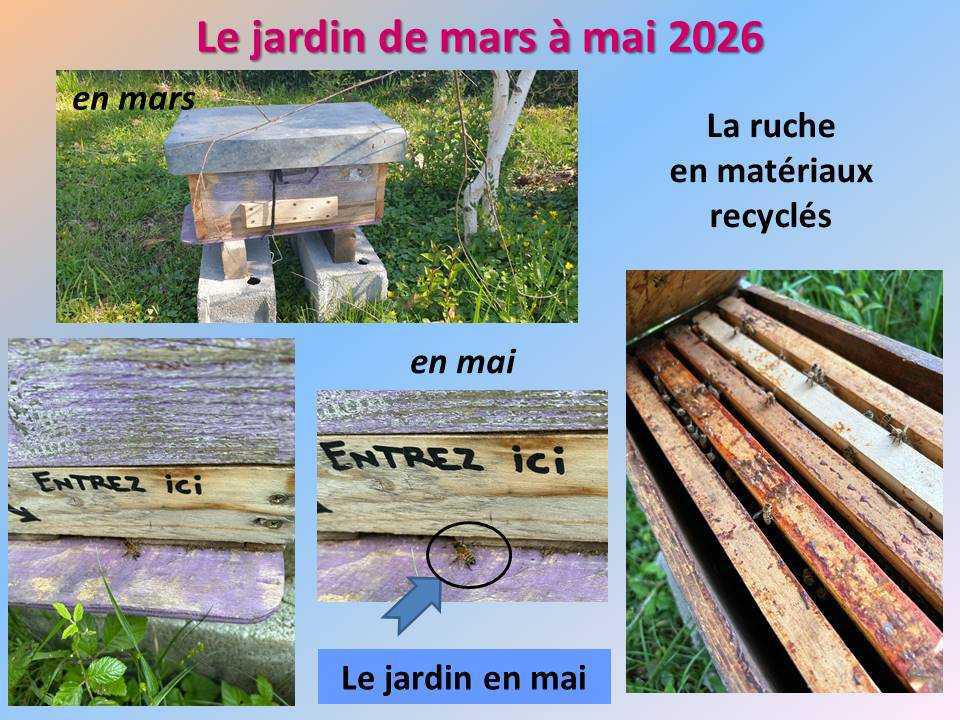 Le jardin potager du lycée de mars à mai 2026