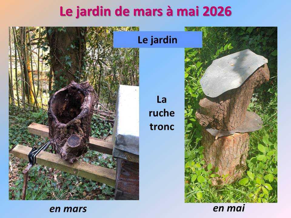 Le jardin potager du lycée de mars à mai 2026 Le jardin potager du lycée de mars à mai 2026
