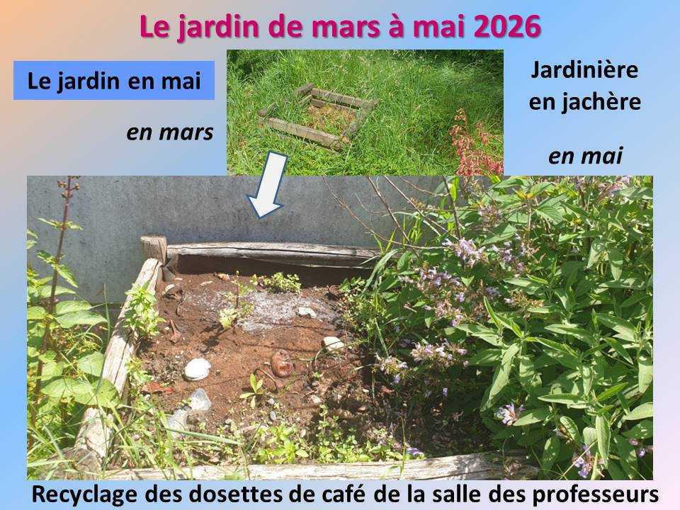 Le jardin potager du lycée de mars à mai 2026