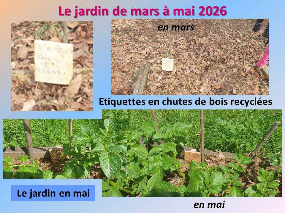 Le jardin potager du lycée de mars à mai 2026
