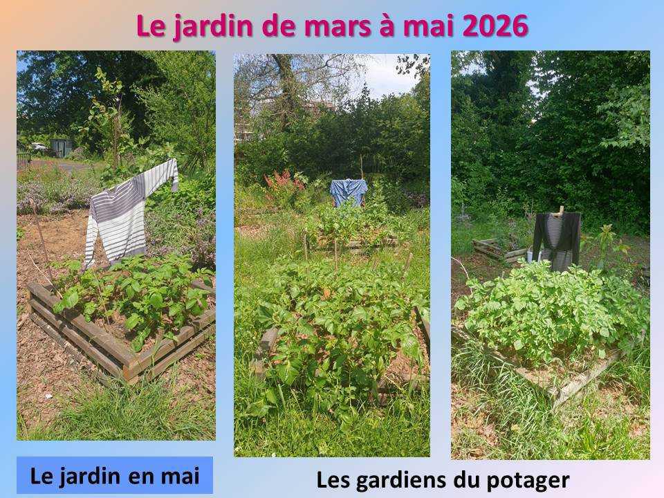 Le jardin potager du lycée de mars à mai 2026 Le jardin potager du lycée de mars à mai 2026
