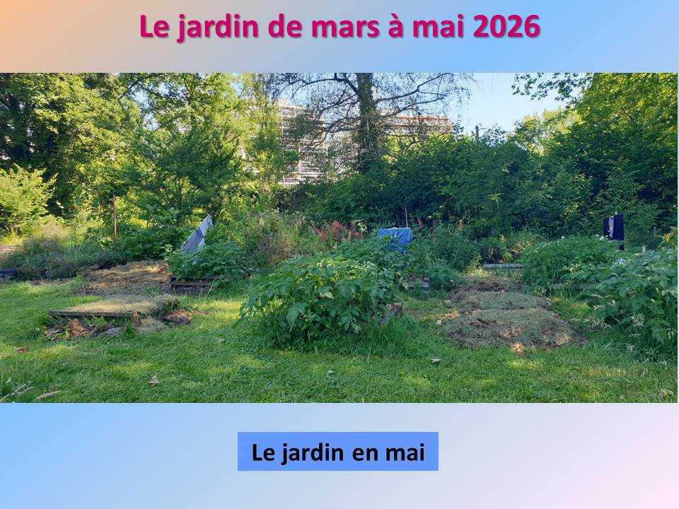 Le jardin potager du lycée de mars à mai 2026