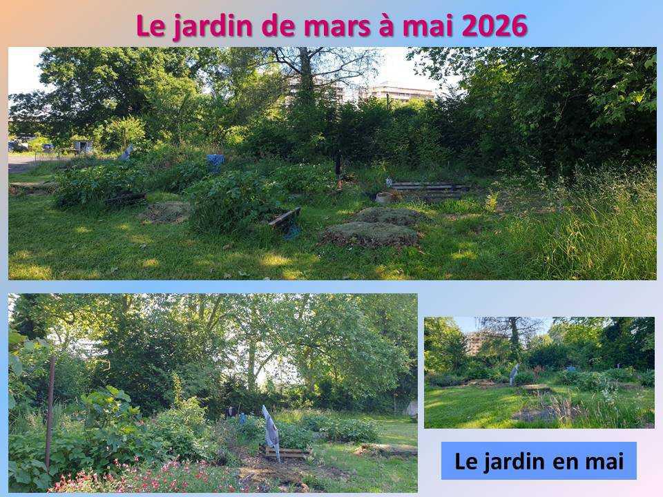 Le jardin potager du lycée de mars à mai 2026