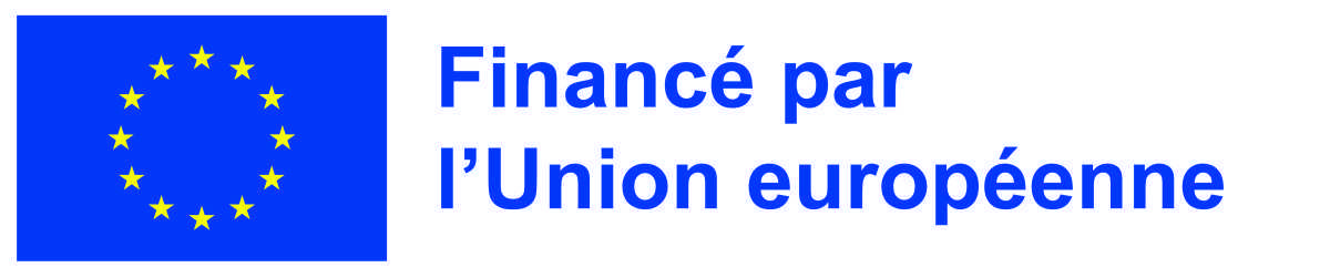 Licence 3 PPPE : Stage Erasmus+ 2026 au Danemark
