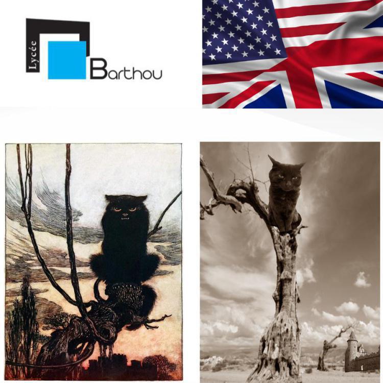 ART CHALLENGE - SOLAL