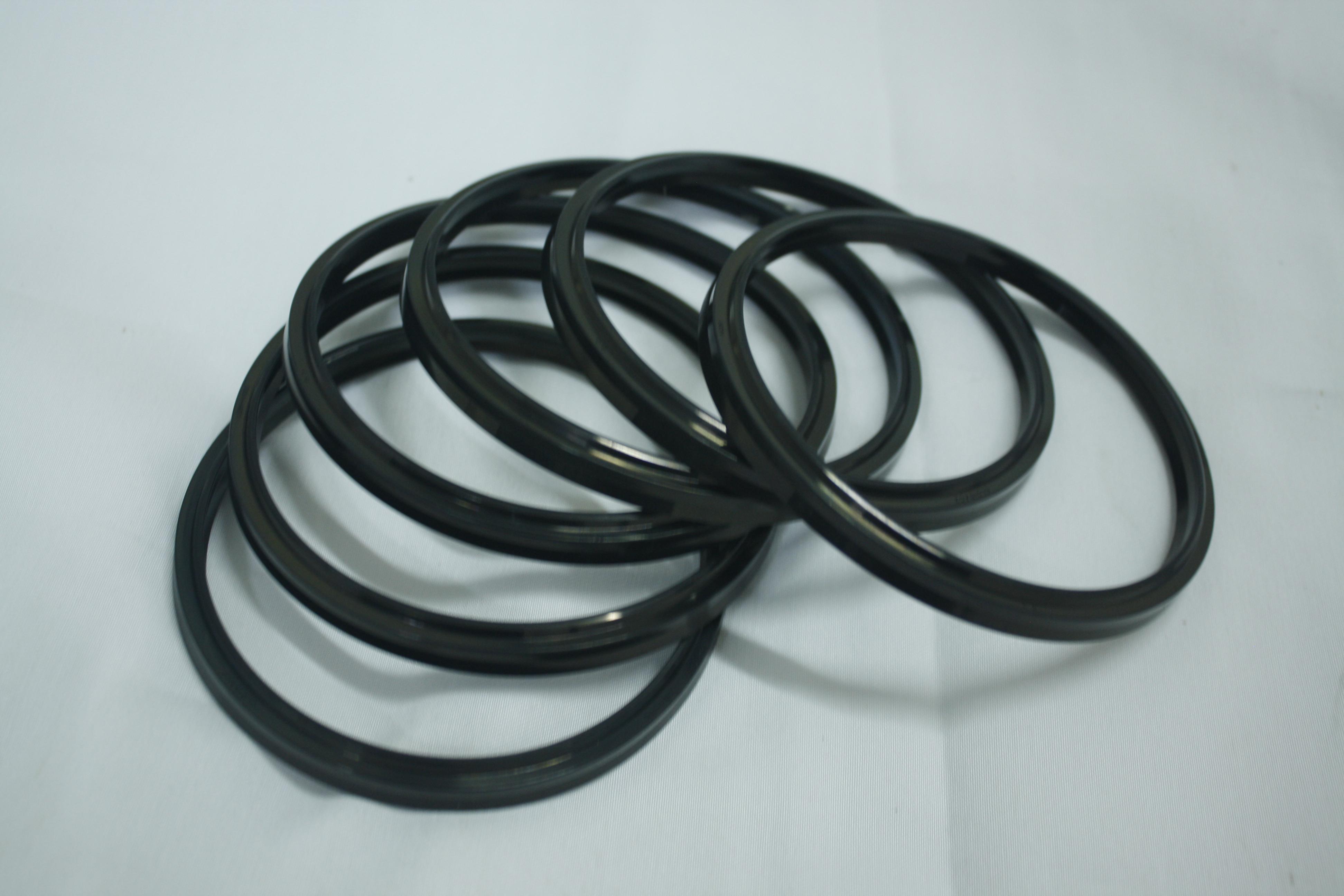 Dust Seal-LBH-5