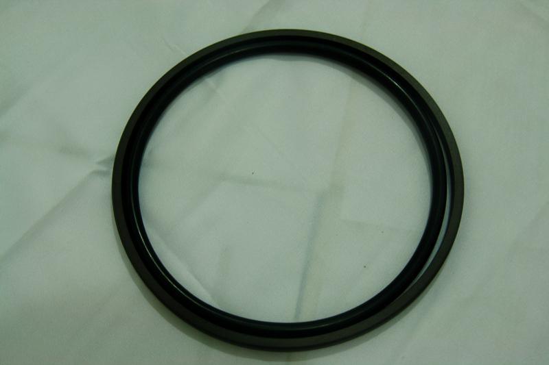 Piston Seal-DSeal-4