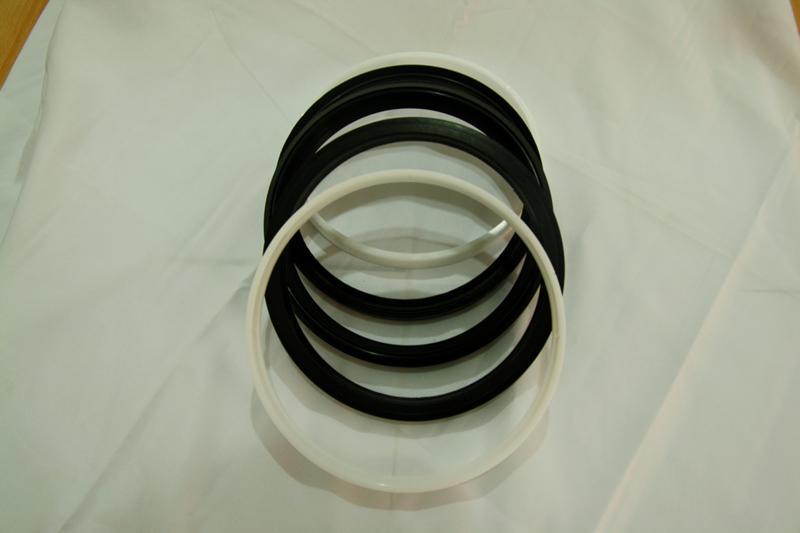 Piston Seal-DSM-1