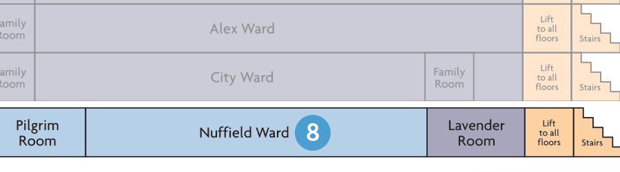 8. The Wards