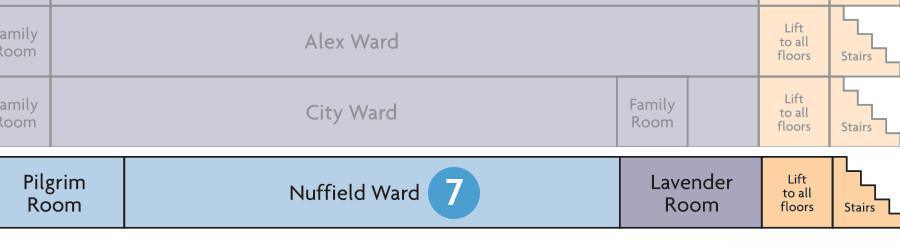 7. The Wards 7. The Wards