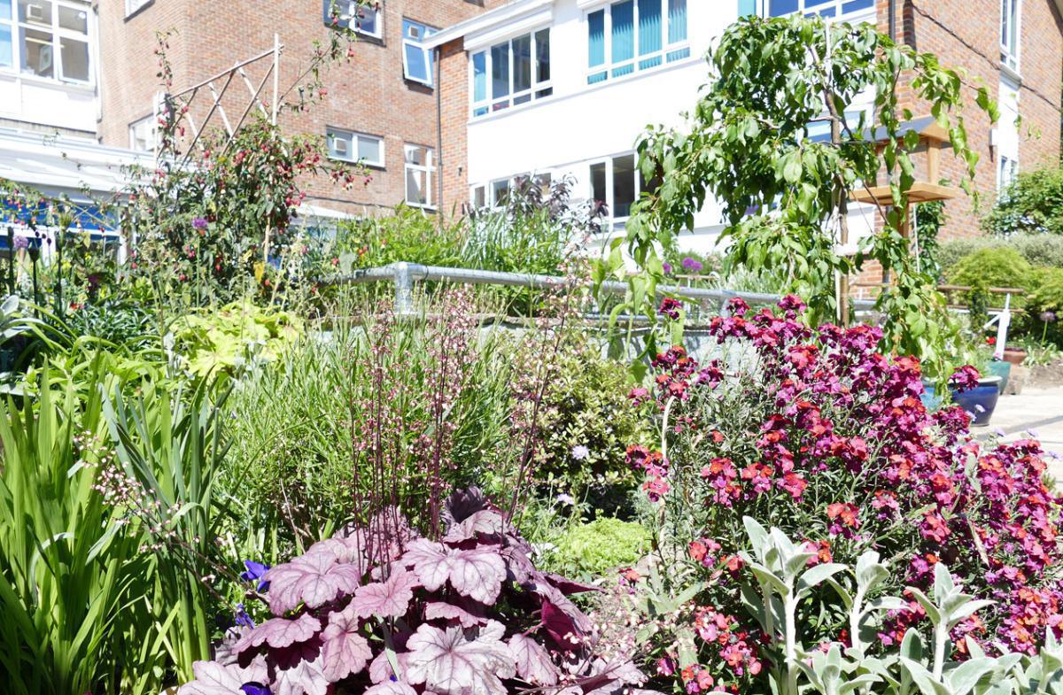 9. The Rotary garden 9. The Rotary garden