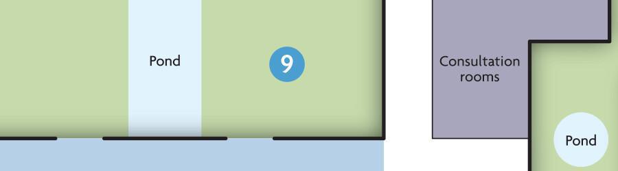 9. The Rotary garden 9. The Rotary garden