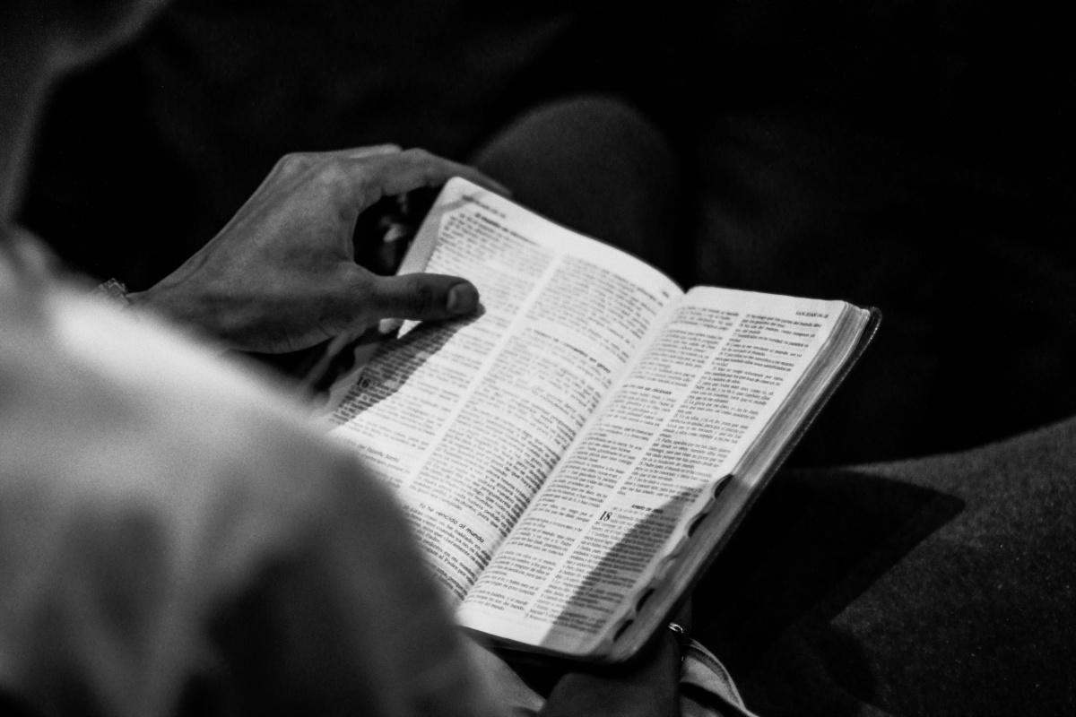 Guidebook  Guidebook