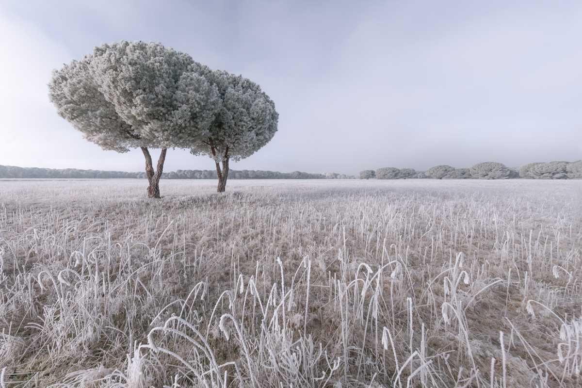 La nueva visión de la conservación de la naturaleza en el marco nacional