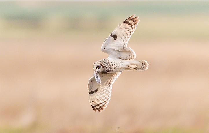 La gestión de los espacios naturales: un modelo de conservación y desarrollo sostenible