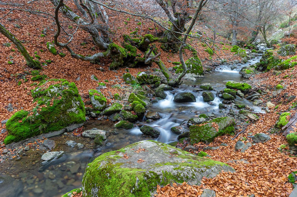 La gestión de los espacios naturales: un modelo de conservación y desarrollo sostenible