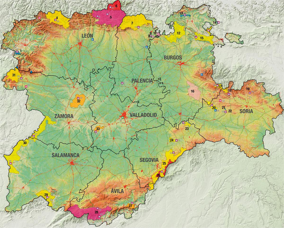 El estado autonómico y la conservación de la naturaleza en Castilla y León