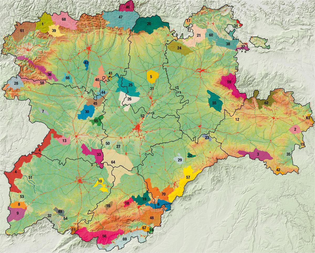 El estado autonómico y la conservación de la naturaleza en Castilla y León El estado autonómico y la conservación de la naturaleza en Castilla y León