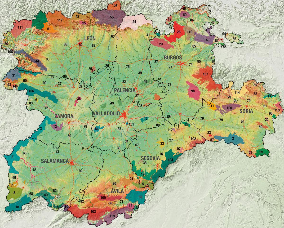 El estado autonómico y la conservación de la naturaleza en Castilla y León El estado autonómico y la conservación de la naturaleza en Castilla y León