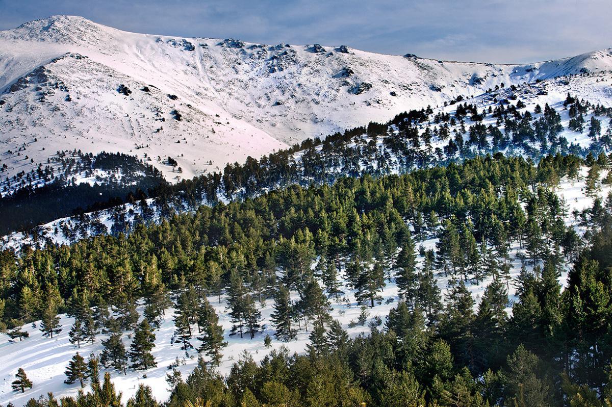 Un largo proceso de planificación y declaración regional Un largo proceso de planificación y declaración regional