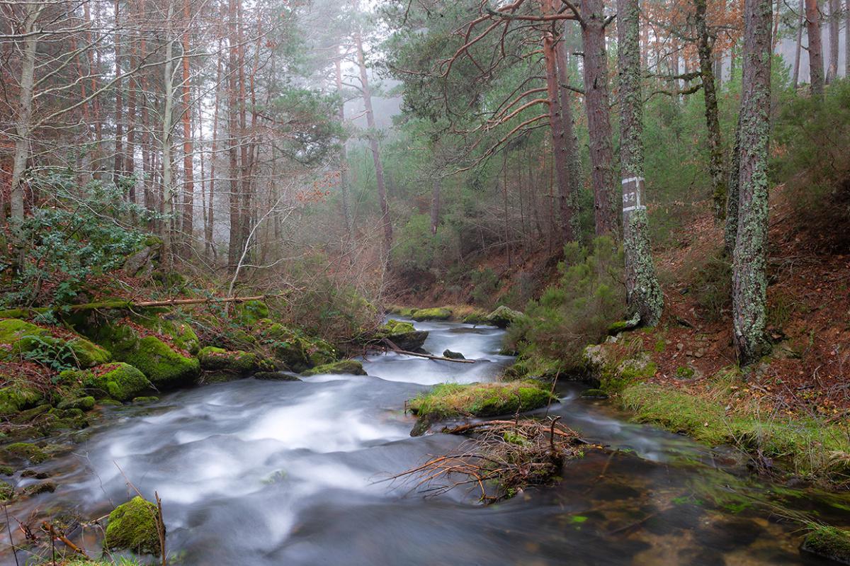 Un largo proceso de planificación y declaración regional Un largo proceso de planificación y declaración regional