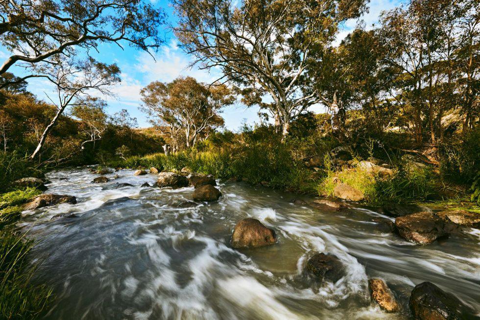 Redstone Jacksons Creek