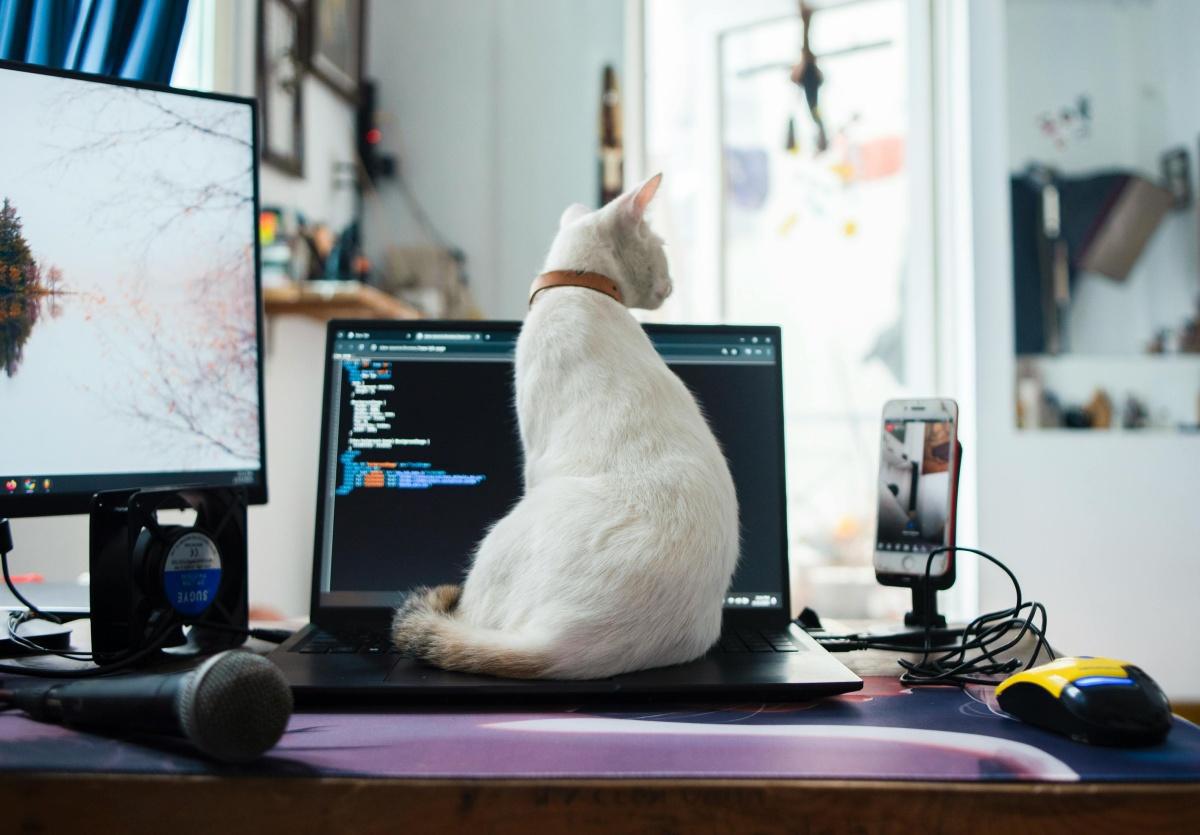 Après avoir supprimé le télétravail, cette entreprise fait face à une situation inhabituelle Après avoir supprimé le télétravail, cette entreprise fait face à une situation inhabituelle