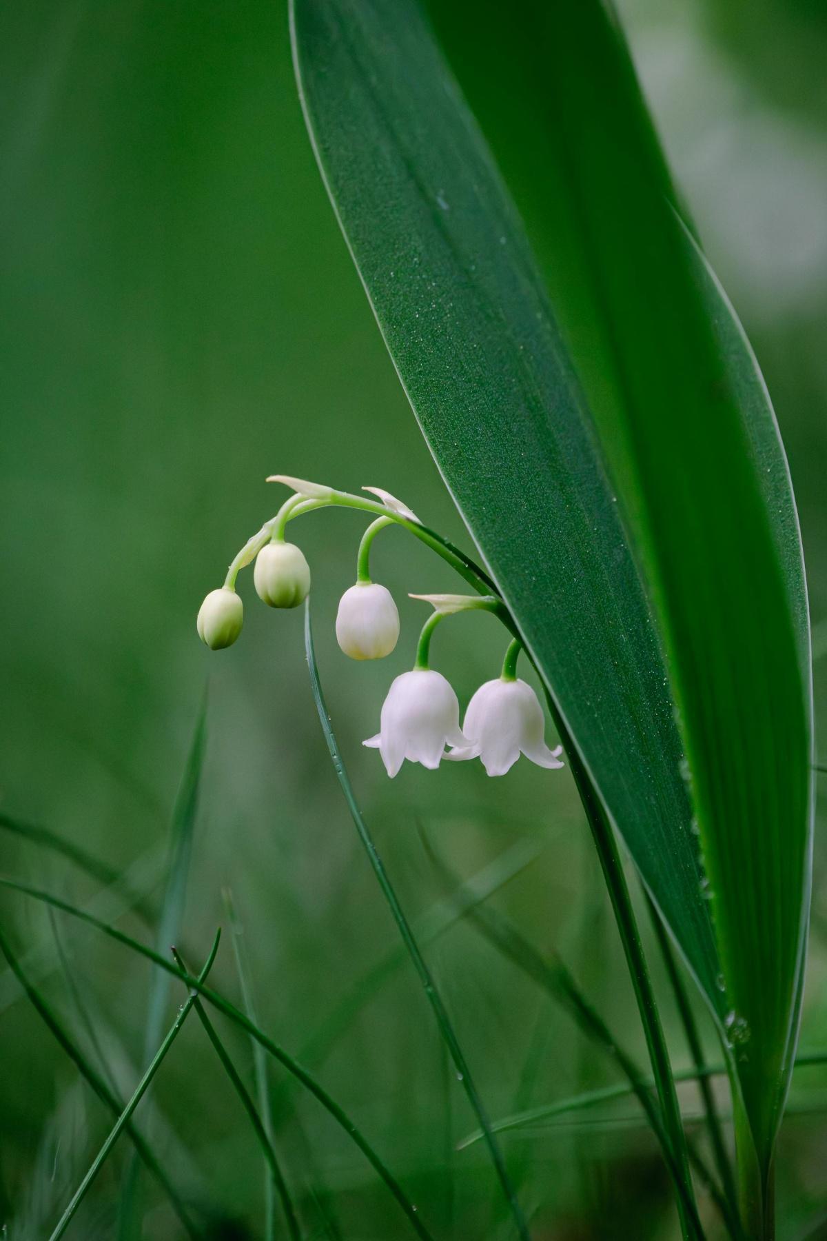 1er mai : courrier intersyndical au premier ministre 1er mai : courrier intersyndical au premier ministre