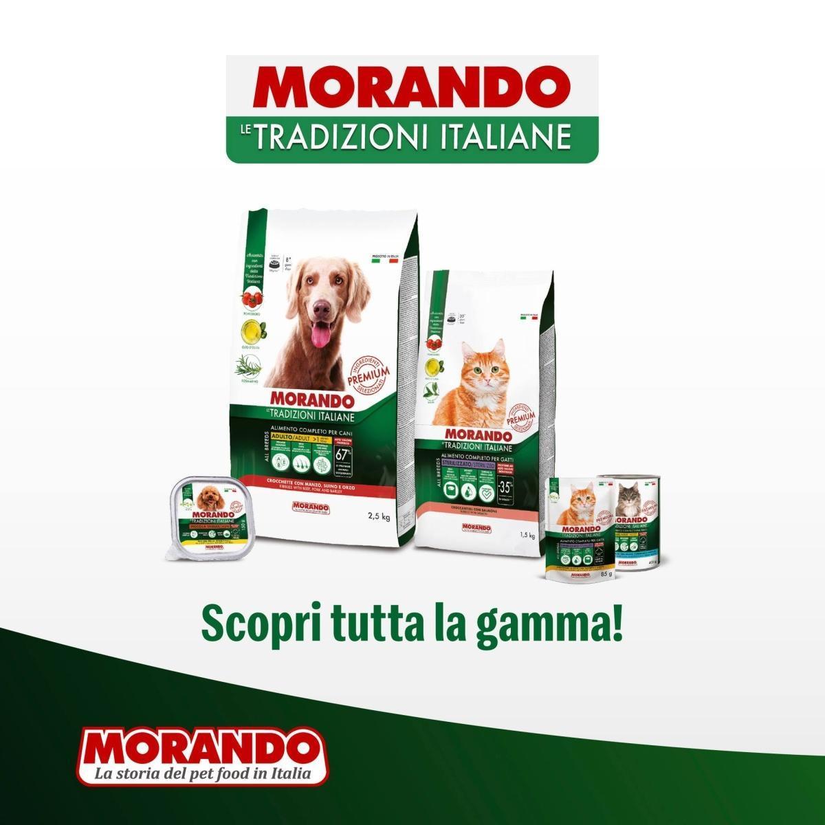 Novità per i tuoi pelosetti! 🐾 Novità per i tuoi pelosetti! 🐾
