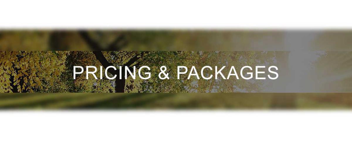 CASUAL CLASS SCHEDULE & PRICING CASUAL CLASS SCHEDULE & PRICING