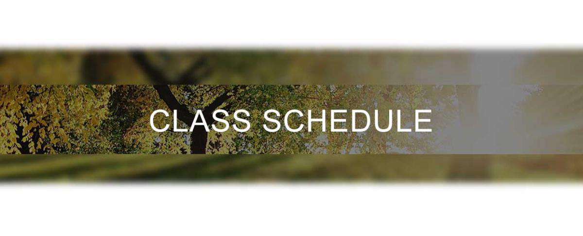 CASUAL CLASS SCHEDULE & PRICING