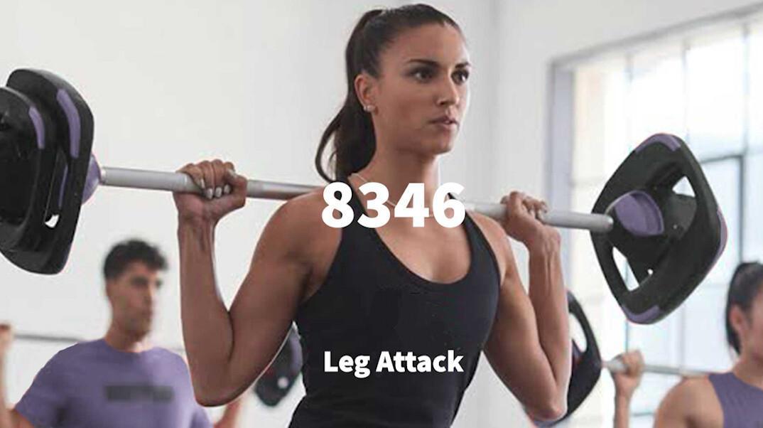  Leg Attack🦵 