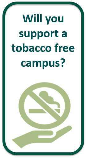 TeamTalk 6th November TeamTalk 6th November