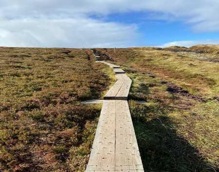 Ennis Hospital Healthy Ireland Mid Summer's Hike