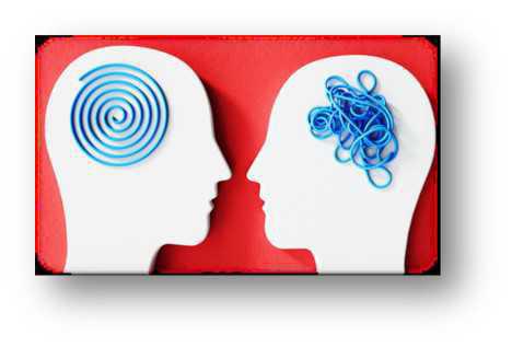 TeamTalk 24th June 2024 TeamTalk 24th June 2024